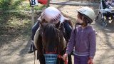 Anniversaire à poneys