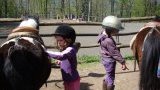 Location poney