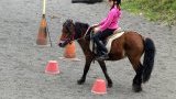 Concours, fêtes, souvenirs...