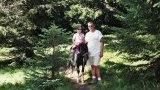 Location poney