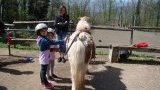 Anniversaire à poneys