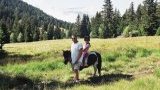 Location poney