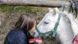Location poney
