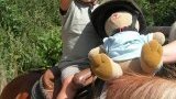Location poney