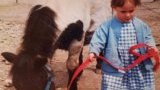 Bébés Cavaliers et Poulains 2024